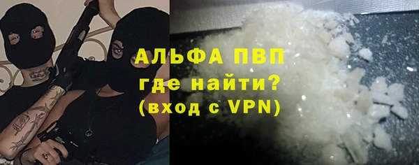 стафф Алексин