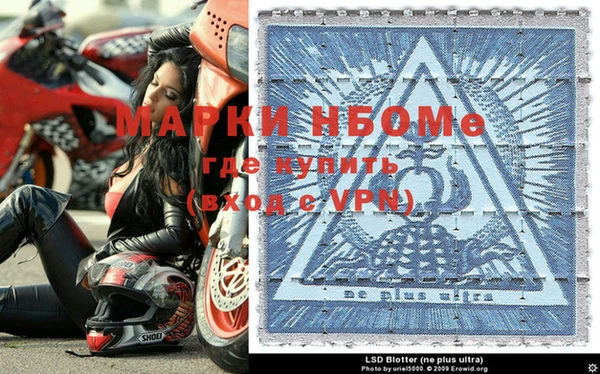 стафф Алексин