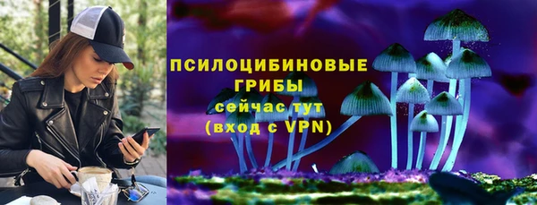 сатива Абдулино