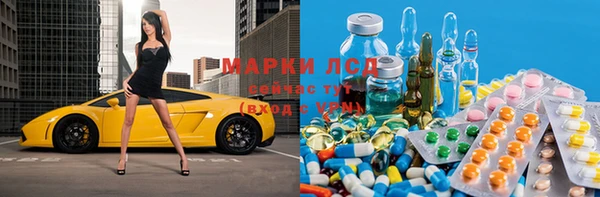 мдпв Алзамай