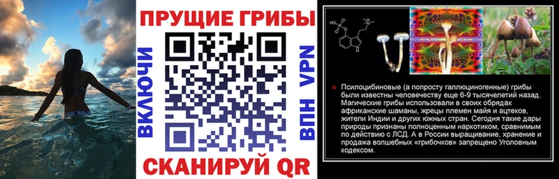 закладки  Нижний Новгород  гидра ССЫЛКА  Псилоцибиновые грибы Psilocybine cubensis 